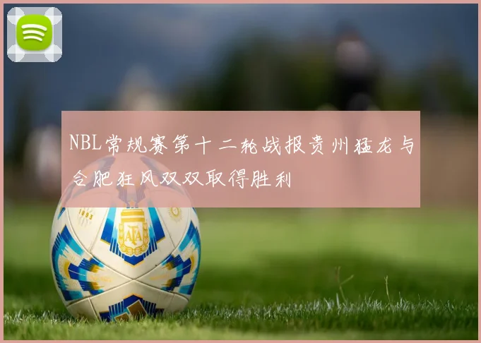 NBL常规赛第十二轮战报贵州猛龙与合肥狂风双双取得胜利