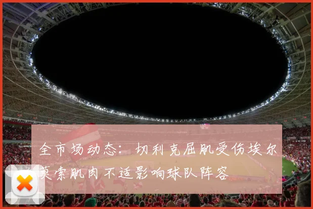 全市场动态：切利克屈肌受伤埃尔莫索肌肉不适影响球队阵容